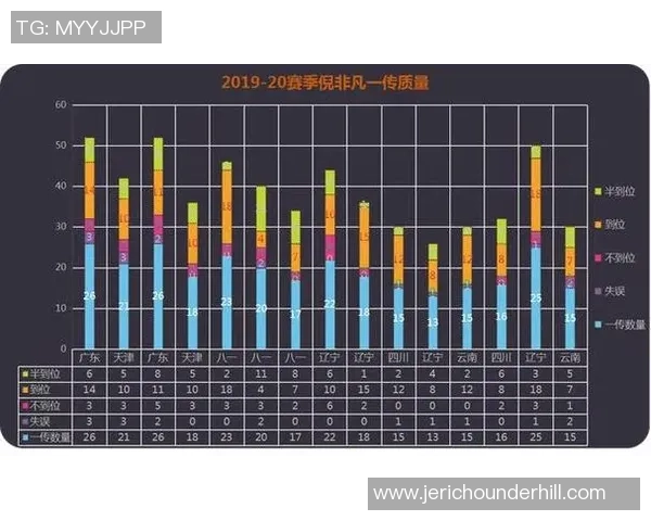 数据分析：南京排球队的技术表现